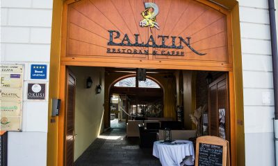 Palatin