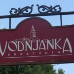 Vodnjanka